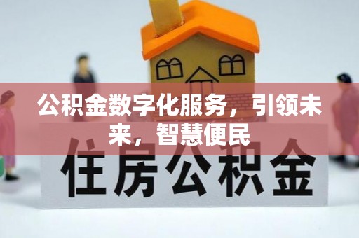 岚山公积金数字化服务，引领未来，智慧便民