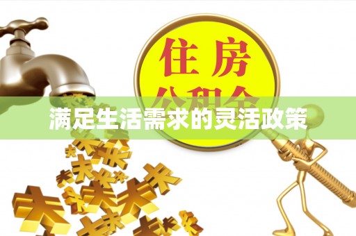 岚山满足生活需求的灵活政策