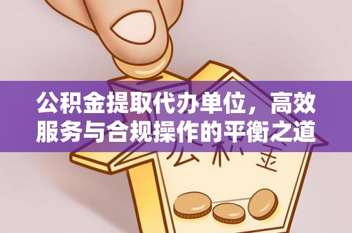 岚山公积金提取代办单位，高效服务与合规操作的平衡之道