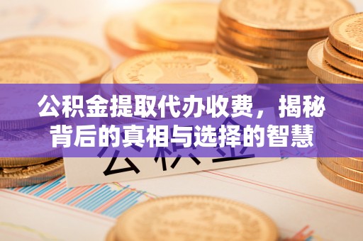 岚山公积金提取代办收费，揭秘背后的真相与选择的智慧
