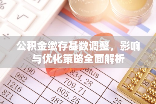 岚山公积金缴存基数调整，影响与优化策略全面解析