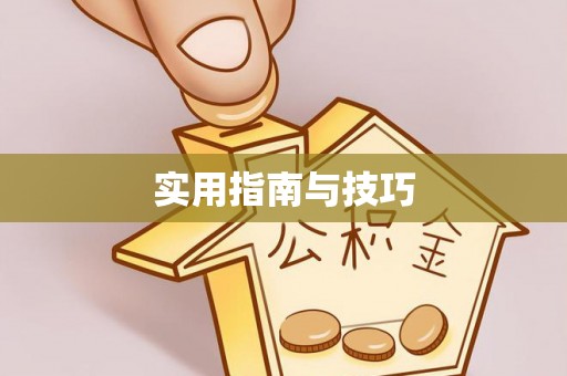 岚山实用指南与技巧