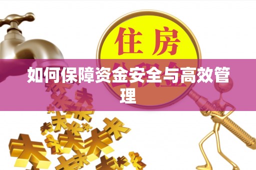 岚山如何保障资金安全与高效管理