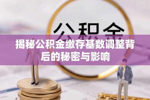 岚山揭秘公积金缴存基数调整背后的秘密与影响