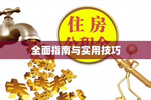 岚山全面指南与实用技巧