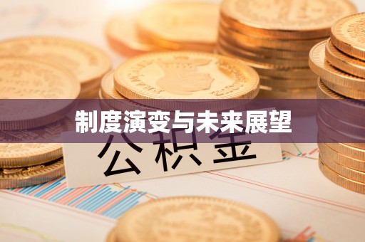 岚山制度演变与未来展望