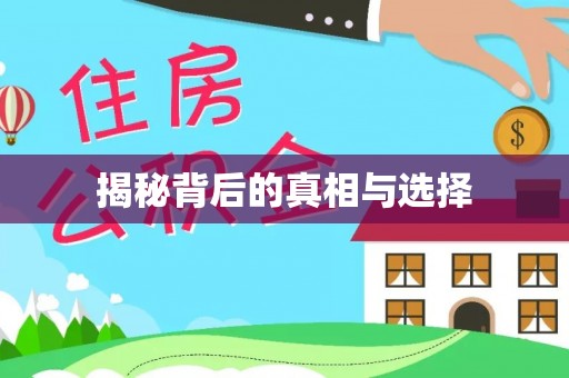 岚山揭秘背后的真相与选择