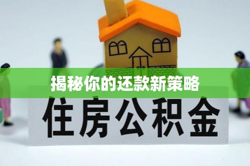 岚山揭秘你的还款新策略
