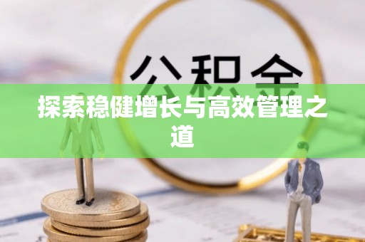 岚山探索稳健增长与高效管理之道