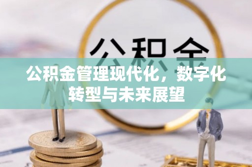 岚山公积金管理现代化，数字化转型与未来展望