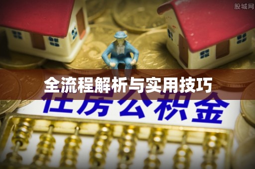 岚山全流程解析与实用技巧