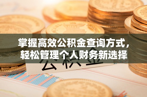 岚山掌握高效公积金查询方式，轻松管理个人财务新选择