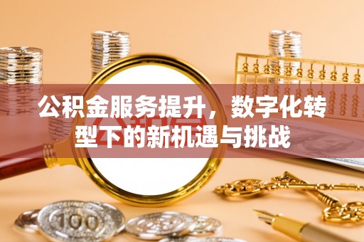 岚山公积金服务提升，数字化转型下的新机遇与挑战