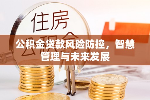 岚山公积金贷款风险防控，智慧管理与未来发展