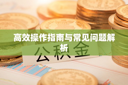 岚山高效操作指南与常见问题解析