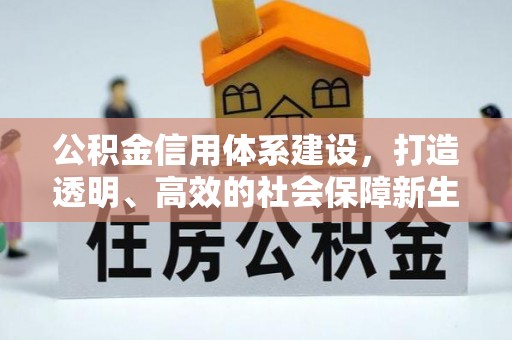 岚山公积金信用体系建设，打造透明、高效的社会保障新生态