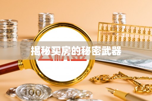 岚山揭秘买房的秘密武器