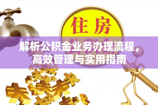 岚山解析公积金业务办理流程，高效管理与实用指南