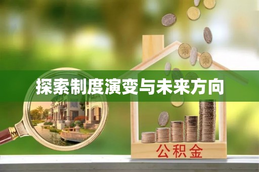 岚山探索制度演变与未来方向