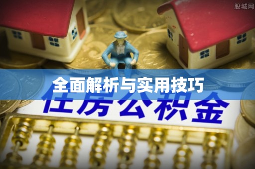 岚山全面解析与实用技巧