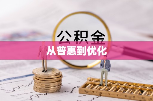 岚山从普惠到优化