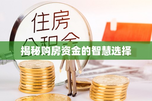 岚山揭秘购房资金的智慧选择