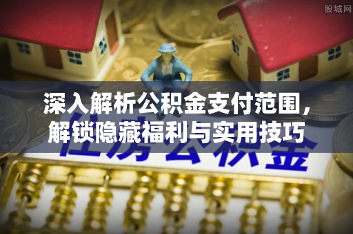 岚山深入解析公积金支付范围，解锁隐藏福利与实用技巧