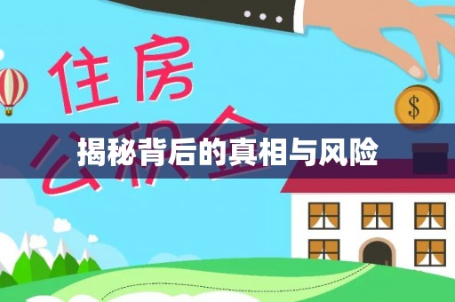 岚山揭秘背后的真相与风险