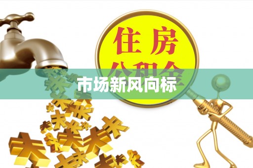 岚山市场新风向标