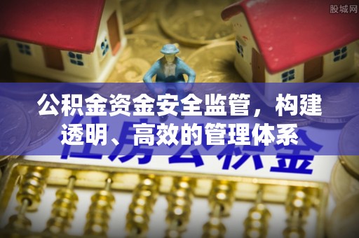 岚山公积金资金安全监管，构建透明、高效的管理体系