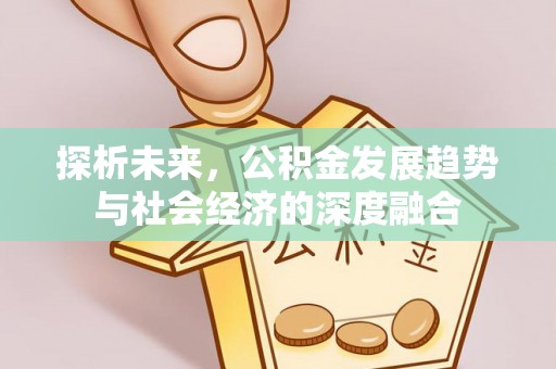 岚山探析未来，公积金发展趋势与社会经济的深度融合