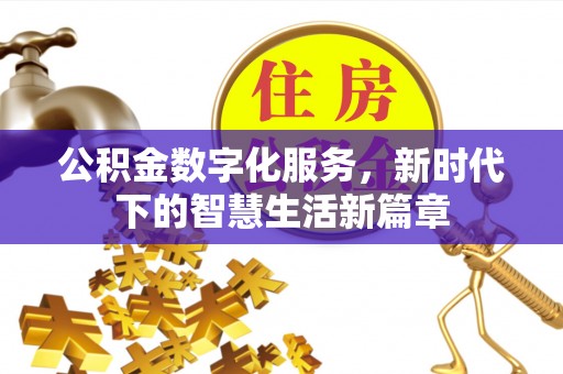 岚山公积金数字化服务，新时代下的智慧生活新篇章
