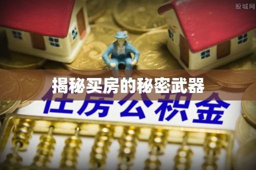 岚山揭秘买房的秘密武器