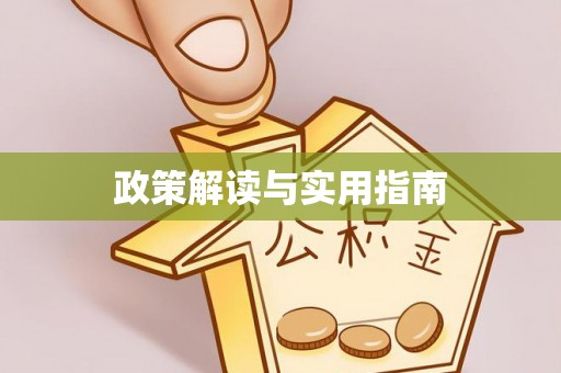 岚山政策解读与实用指南