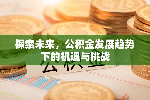 岚山探索未来，公积金发展趋势下的机遇与挑战