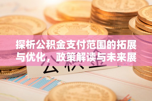 岚山探析公积金支付范围的拓展与优化，政策解读与未来展望