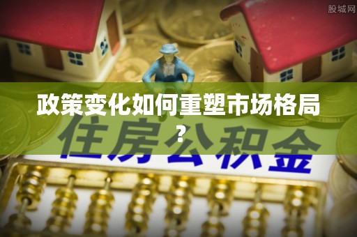 岚山政策变化如何重塑市场格局？