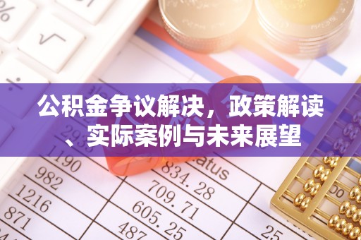 岚山公积金争议解决，政策解读、实际案例与未来展望