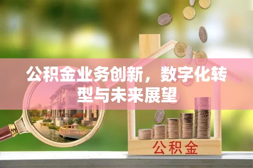 岚山公积金业务创新，数字化转型与未来展望