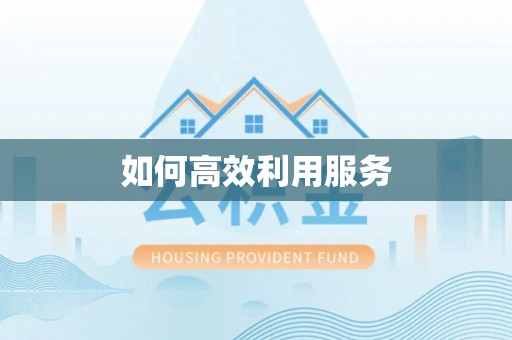 岚山如何高效利用服务