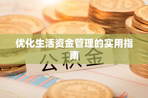 岚山优化生活资金管理的实用指南