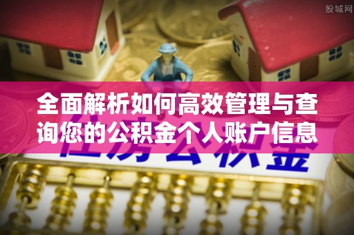 岚山全面解析如何高效管理与查询您的公积金个人账户信息