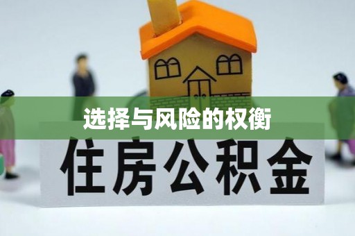 岚山选择与风险的权衡