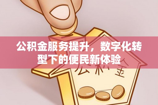 岚山公积金服务提升，数字化转型下的便民新体验
