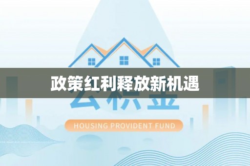岚山政策红利释放新机遇