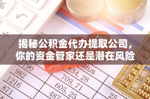岚山揭秘公积金代办提取公司，你的资金管家还是潜在风险？