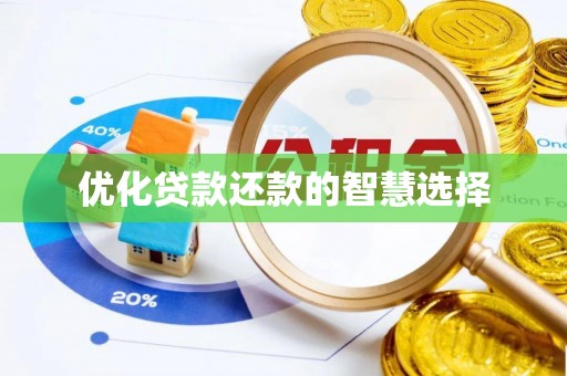 岚山优化贷款还款的智慧选择
