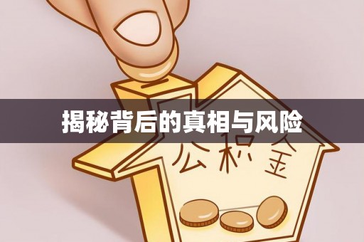 岚山揭秘背后的真相与风险