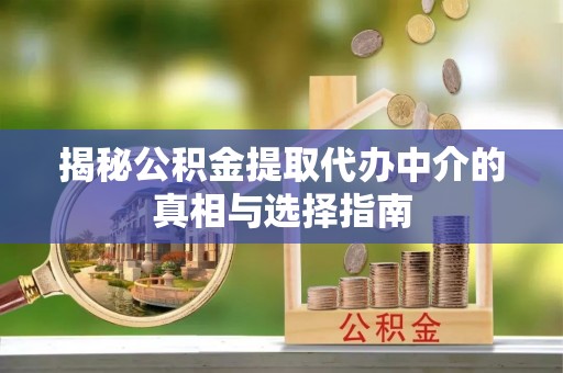 岚山揭秘公积金提取代办中介的真相与选择指南