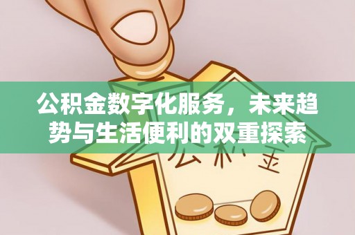 岚山公积金数字化服务，未来趋势与生活便利的双重探索